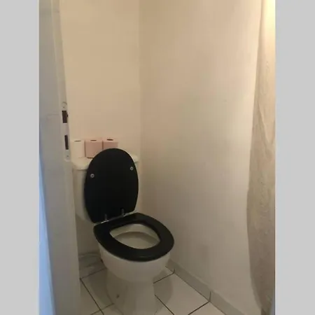 Joli Duplex 65m Chu Bordeaux Parking Prive