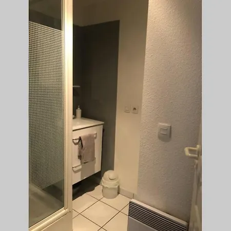 Joli Duplex 65m Chu Bordeaux Parking Prive Daire