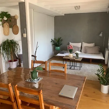 Joli Duplex 65m Chu Bordeaux Parking Prive