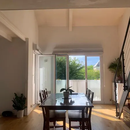 Joli Duplex 65m Chu Bordeaux Parking Prive Daire *