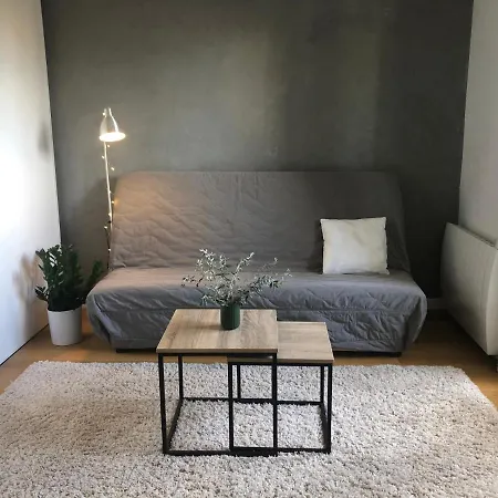 Joli Duplex 65m Chu Bordeaux Parking Prive Daire