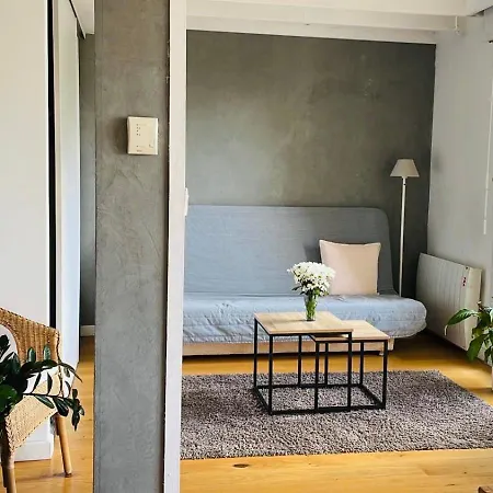 Bordeaux Centre T2 Duplex 65m Hospital Pellegrin Chu Mérignac