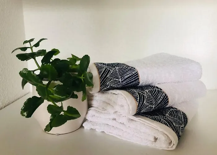 Bordeaux Centre T2 Duplex 65m Hospital Pellegrin Chu *