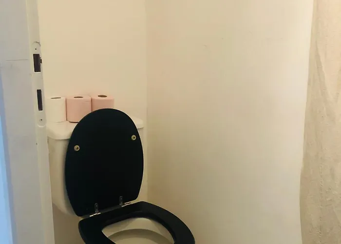 Daire Bordeaux Centre T2 Duplex 65m Hospital Pellegrin Chu