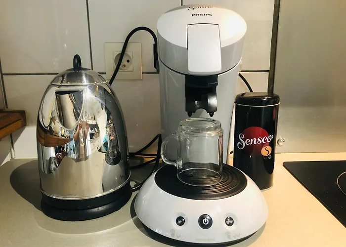 Bordeaux Centre T2 Duplex 65m Hospital Pellegrin Chu Daire Mérignac